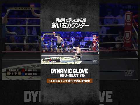 右カウンター💥 #shorts #boxing #ボクシング #格闘技