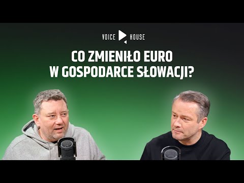 The economies of the Czech Republic and Slovakia. Does the euro help?