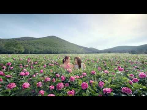 Sunsilk Shampoo Thailand 2016 Vespa 30s