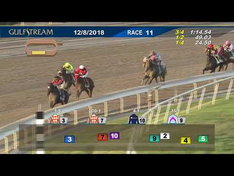 Gulfstream Park Race 11 | December 8, 2018