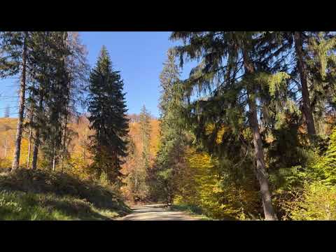Short walk on Brebina (Breghina), Zarnesti, Romania. The colors of October