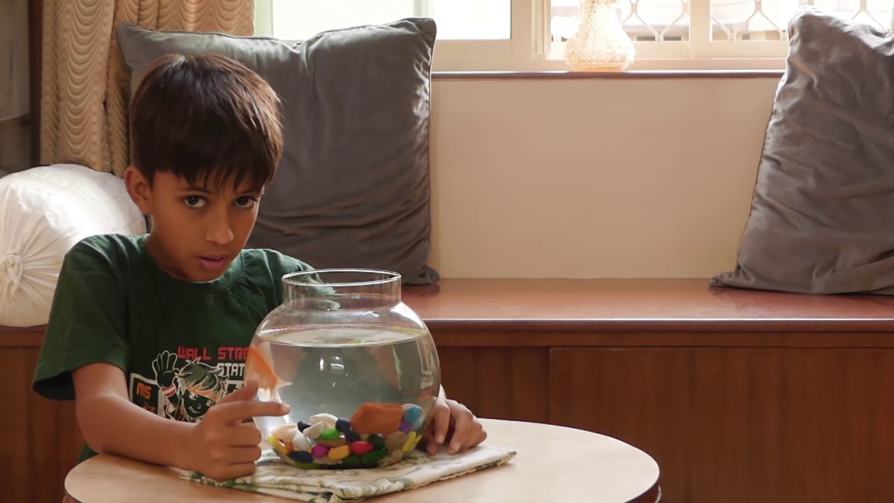 IISTOO / Parsi / Short Film / Teaser