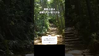外国人しか知らない日本だけが持つ魅力 #旅行 #ホリエモン #shorts