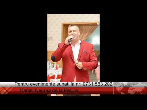 Dani Negrea de la Pecica- ascultare 2017