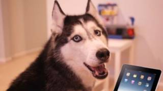 Mishka Sings with iPad 2 - Better than Rebecca Black! (now on iTunes!)