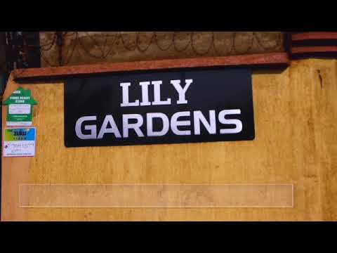 Welcome to Lily Garden Apartments