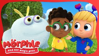 Gobblefrog's So Hungry! | Morphle and the Magic Pets | BRAND NEW | Kids Cartoon
