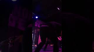 Disconnecktie-Norma Jean