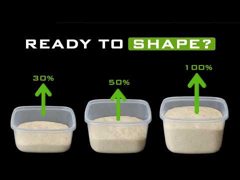 Sourdough Bulk Fermentation Guide: Times & Temperatures Explained