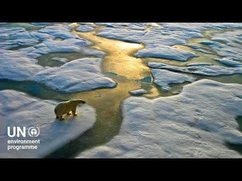 Biodiversity credit, biodiversity footprint, nature credit, ...