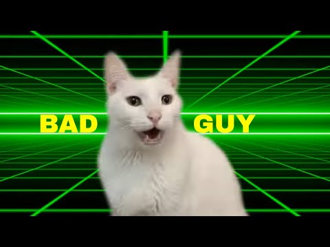 Billie Eilish - Bad Guy - Cats Version