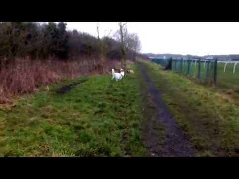 Nishka & Saachi @ Bobbies place