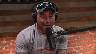 The 43 Year Old Loser - Joe Rogan