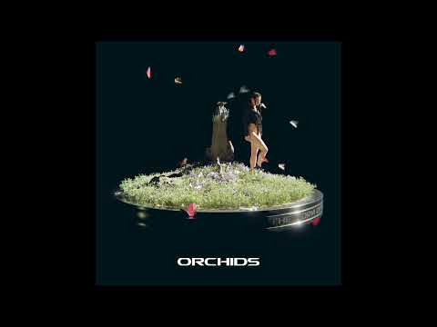 MEYY - Orchids (DREAM 01)