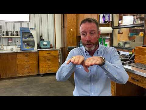 When will a mare foal? Everything you need to know