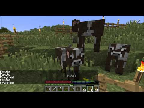 Tweety plays Terrafirmacraft ep 36 - getting cows