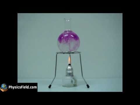 Convection in Water – Simple Physics Experiment Explained!