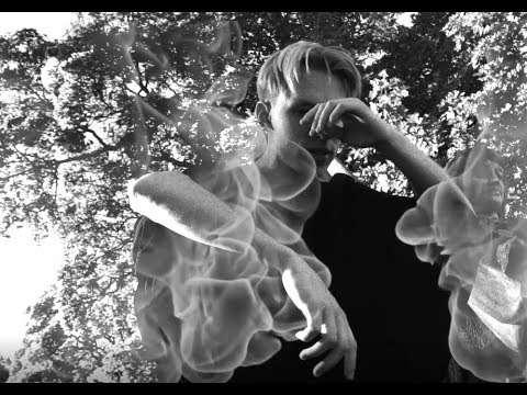 jose gt - starkissed