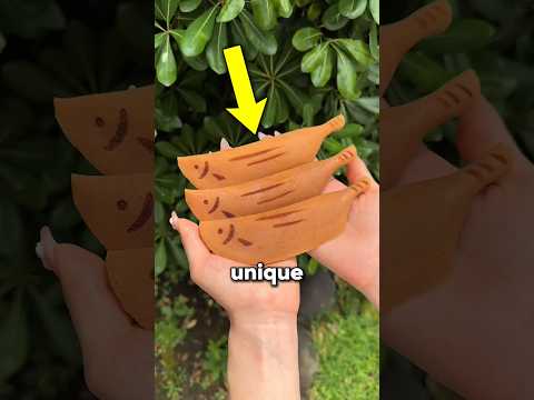 3 Unique things in Japan that solve everyday problems! 🇯🇵