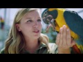 Magnificent Macaws 2017 Commerical