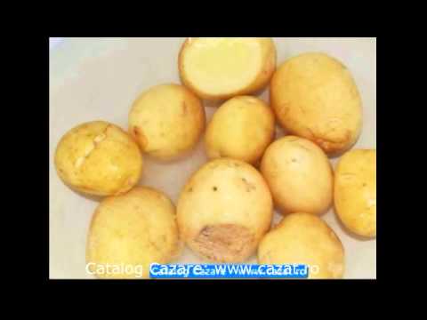 Cazare Campeni, Bacau - Cazat.ro