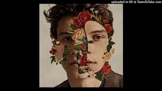 Shawn Mendes - Mutual Audio