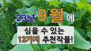 9월에 심을 수 있는 12가지 추천 작물! #주말농장 #텃밭 가꾸기 # 9월에 심는 작물.