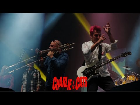 Charlie & The Cats - TAFALAMALAMOLAMA (feat Osvaldo Tagliani) live Brixia Forum Brescia 2021