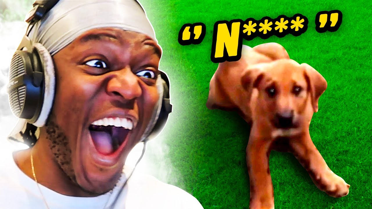 A Racist Dog? (Try Not To Laugh)