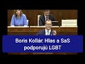 Boris Kollár Hlas A SaS Podporujú LGBT