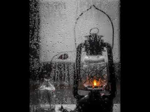 Pocsai Piroska - Homo sapiens (elmondja: Zámbori Soma)