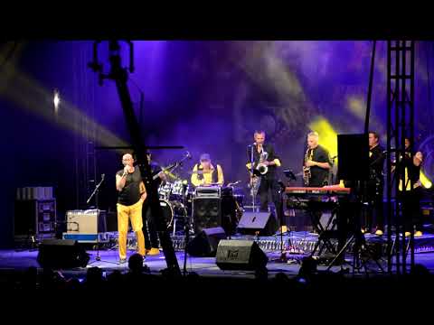 The Horny Funk Brothers ft  Hubert Tubbs (AUT & USA) 🔴Live Nisville 2021 🇷🇸