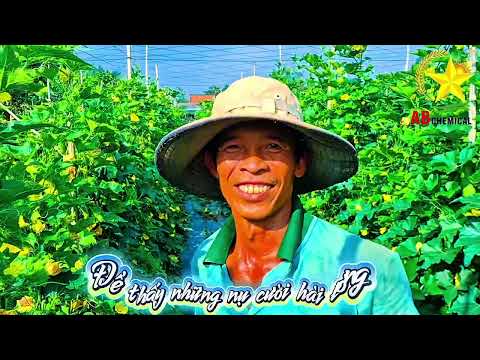 🌱 AB CHEMICAL ĐÃ TÌM RA ĐƯỢC CÂU TRẢ LỜI CHO CON ĐƯỜNG ĐÃ CHỌN – SỨ MỆNH PHỤC VỤ QUÝ NHÀ NÔNG 🌱