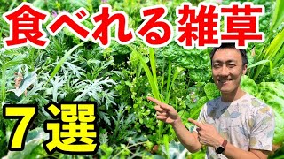 相談36267に関連する動画