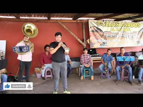 Siempre en Verano | Vicente Garcia | Banda Perla de Michoacan