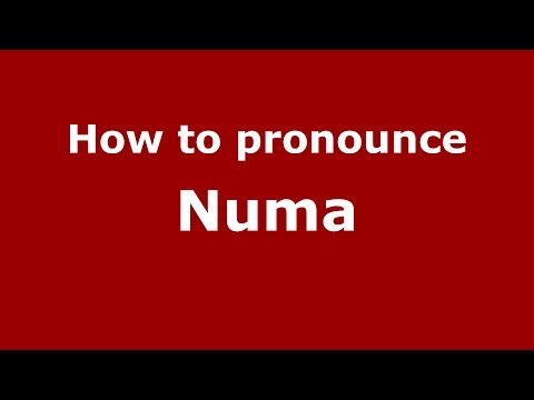 How to pronounce Numa