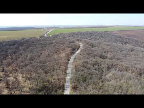 Padurea Breana sat Roscani jud. Glati Romania