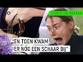 EMMA WORDT GEKNEPEN DOOR EEN RIVIERKREEFT! | Steken en Prikken #5 | NPO Zapp