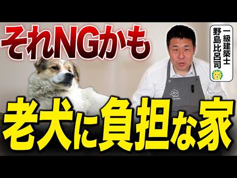 展示場で解説 老犬ストレス 設計で減らす 一級建築士が考える老犬のための住まい | 野島建設 | 富山で注文住宅・リフォームならNOJIMA