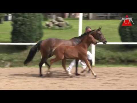 47 Del Piera SF v. Del Piero - Mac Namara