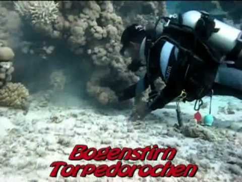 Bootstauchgang Ras Funghani, Sharm Fugani - Ras Fungani (Mangrove Bay),Ägypten