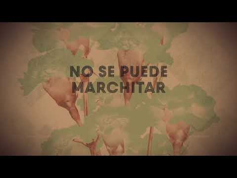 Video thumbnail for La Grieta
