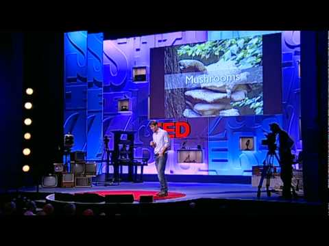 【TED】塑膠的最新替代品，竟然是「蘑菇」？