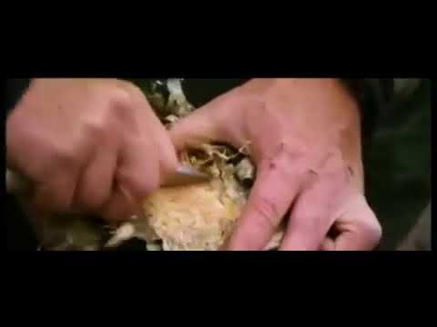 Ray Mears' Bushcraft S02E02 - Canoe Journey