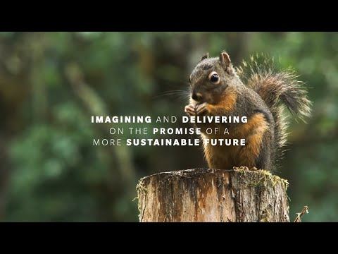 Sustainability Westrock