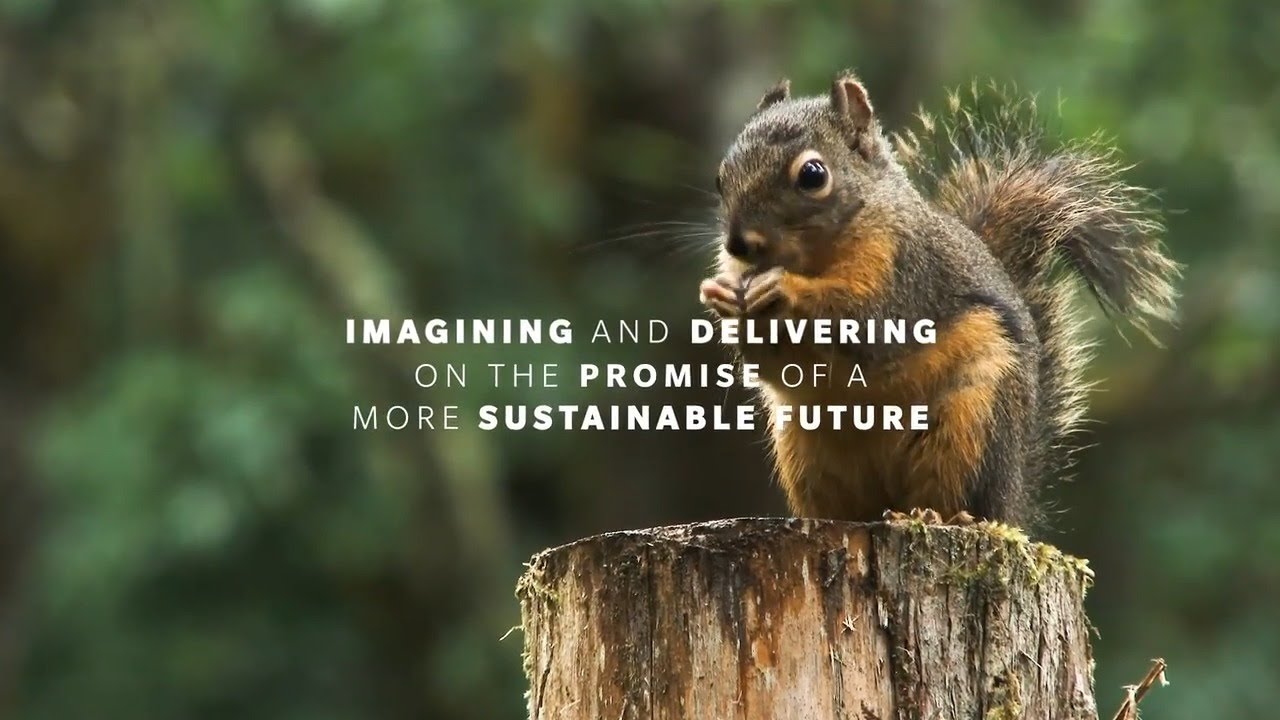 Sustainability | WestRock