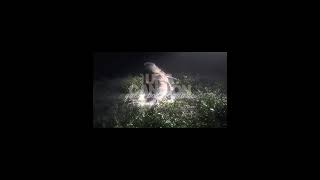 Download lagu 'Una Canción que No Podré Cantarte' SE estrenó HOY a las 7pm! mp3