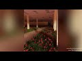 ＴＨＥ　ＧＲＡＳＳＲＯＯＭＳ 3 Hour Loop Of Relaxing Music Ambient Backrooms Liminal S