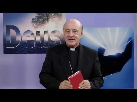 Anunciamos Jesus - 10/07/2016 - Parábola do bom samaritano - B2