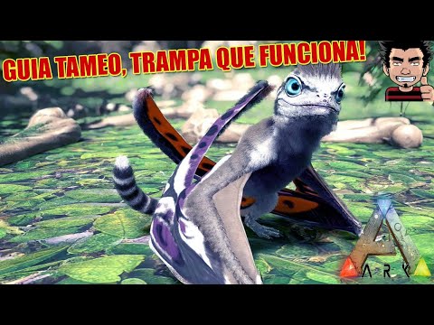 TRAMPA PERFECTA COMO DOMESTICAR SINOMACROPS CON TRAMPA QUE FUNCIONA AARK SURVIVAL EVOLVED ESPAÑOL